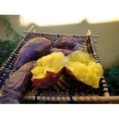 BATATA DOCE ASSADA KG