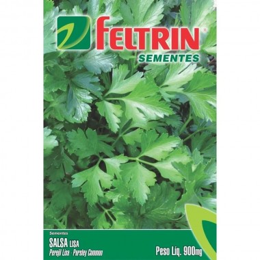 SEMENTE FELTRIN SALSA LISA