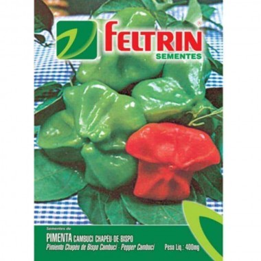 SEMENTE FELTRIN PIMENTA CHAPEU DE BISPO